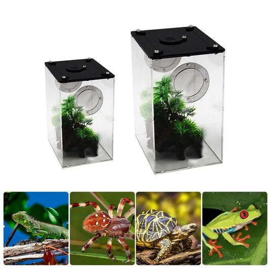 New Acrylic Terrarium Breeding Box