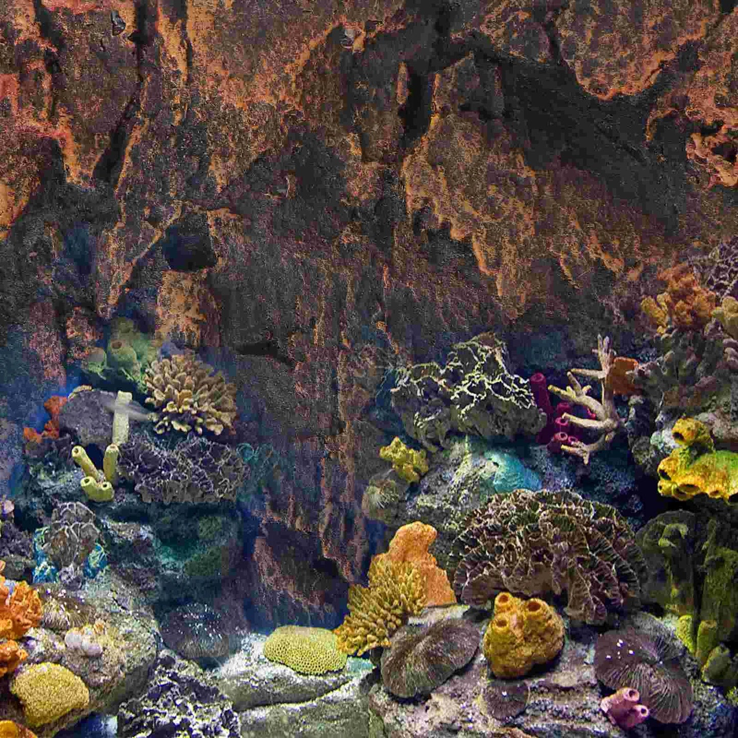 Terrarium Background, 3D Aquarium Stone Background