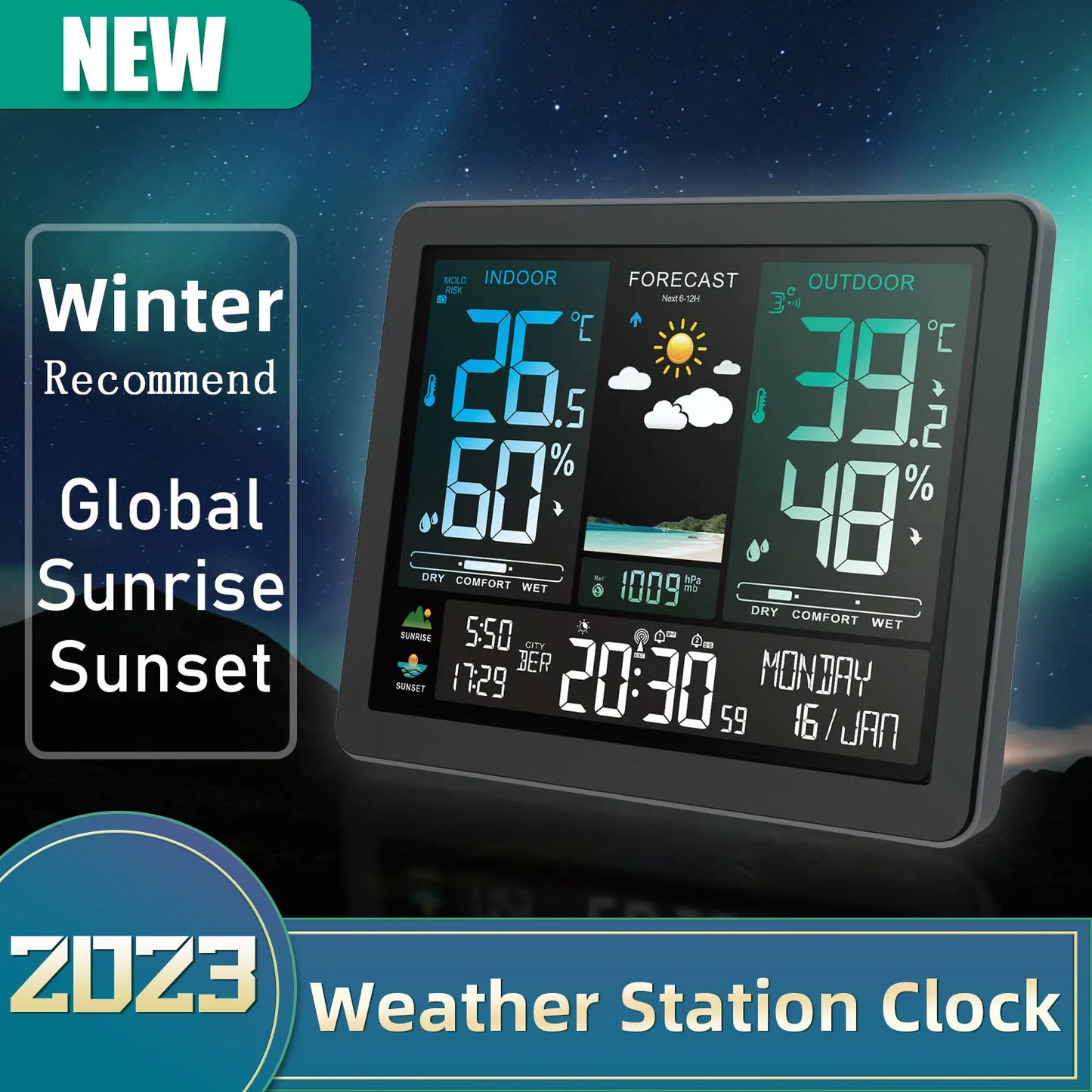 Professional Electronic Weather Station